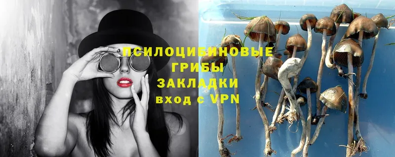 Галлюциногенные грибы MAGIC MUSHROOMS  hydra рабочий сайт  Ангарск 